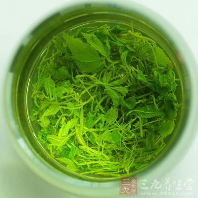 莓茶能活化免疫细胞，提高抗病能力