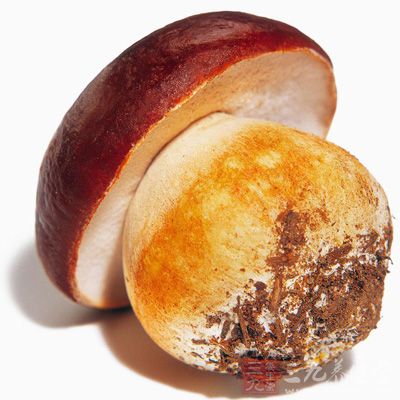草菇的维生素C含量高，能促进新陈代谢，提高机体免疫力