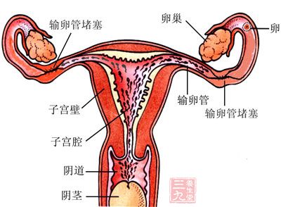 單純的月經(jīng)不調(diào)是不會(huì)影響懷孕的，只有可以正常的排卵就能夠受孕