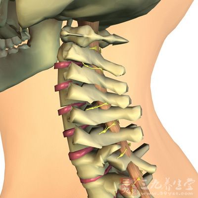 钙、磷代谢和激素代谢失调者，往往容易产生颈椎病