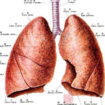 癌症病人发病率有血缘关系的高于无血缘关系的