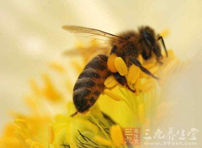 通常以什么花期生长的蜂王浆就称什么王浆。例如，在油菜花期所采集的蜂王浆称作油菜浆