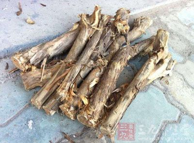 梅花刺根的药用价值与应用