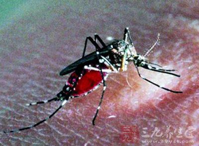 全球疟疾行动计划2 更好控制疟疾的综合方法
