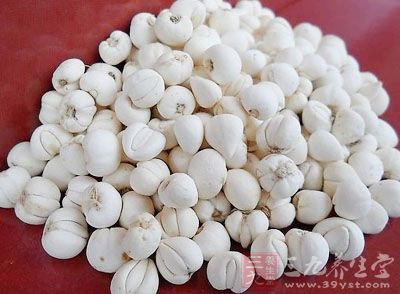 太白贝母的药用价值与应用