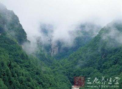 湖北神農(nóng)架