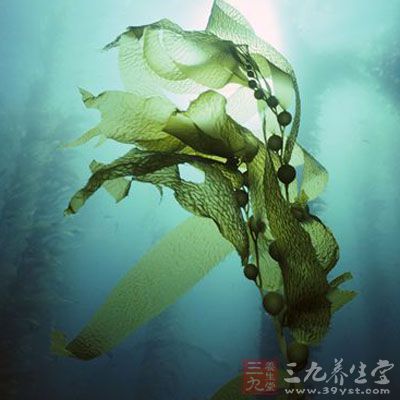 海藻中的含碘量超过任何其他动植物