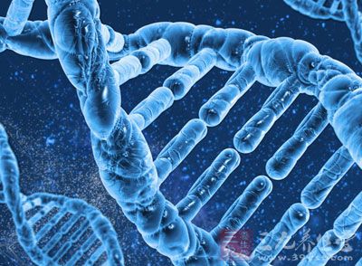 美科学家绘制全基因组DNA修复图谱