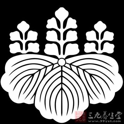 每个日本人都有家纹,就是类似于家族的徽章的样子