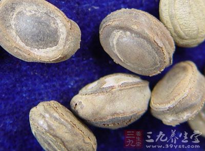 猴枣的药用价值与应用_平肝熄风药_中药图典_养生百科_三九养生堂