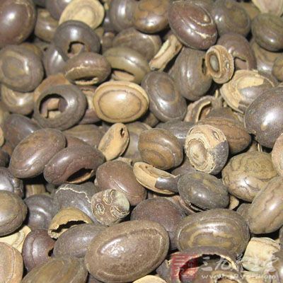 猴枣的药用价值与应用_平肝熄风药_中药图典_养生百科_三九养生堂