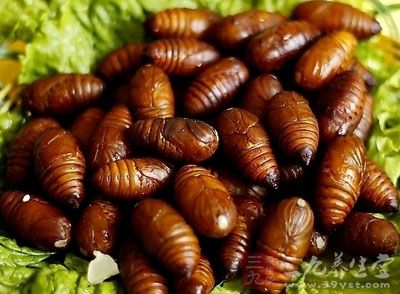 为蚕蛹经白僵菌发酵的制成品