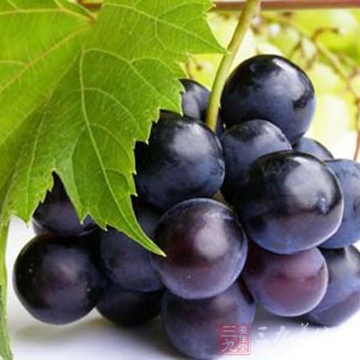 葡萄中含有非常丰富的矿质钙、磷、钾、铁和多种维生素，以及含有人体必需氨基酸成份