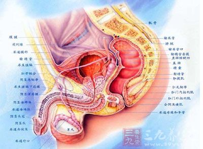 无菌性前列腺炎 怎样预防和治疗无菌性前列腺炎