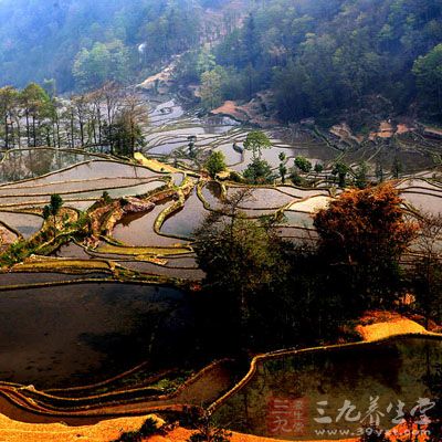 元阳梯田多数都在元阳至绿春公路两旁