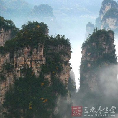 中国旅游景点排行No8、张家界