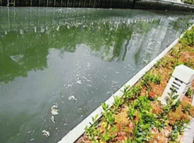 广东揭阳自来水水源水质受污染 危及约200万人