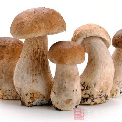 草菇的维生素C含量高，能促进新陈代谢，提高机体免疫力