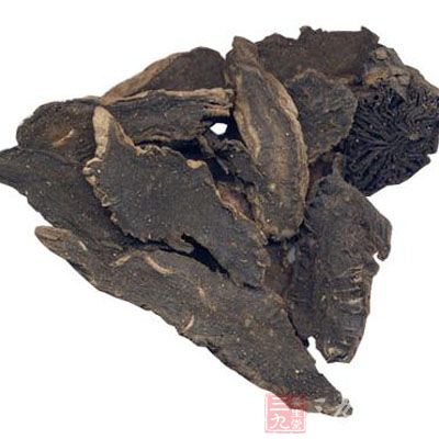 玄参的药用价值与应用