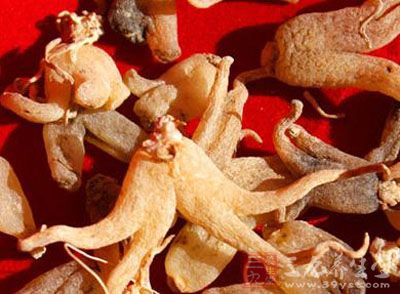 手参的药用价值与应用