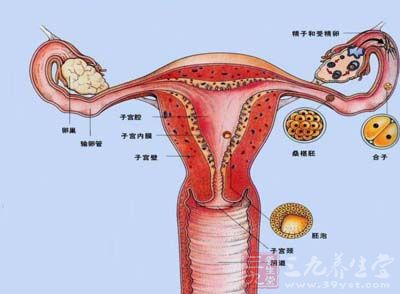 慢性盆腔炎如何根治 怎样治疗预防慢性盆腔炎