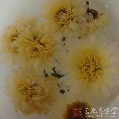 菊花茶所用菊花以苏杭一带所生的大白菊或小白菊佳，每次3克左右泡茶饮用