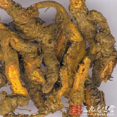 黄连是一种常用中药，早在《神农本草经》中便有记载，因其根茎呈连珠状而色黄，所以称之为“黄连”，有清热燥湿，泻火解毒之功效