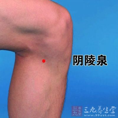 阴陵泉位于小腿内侧，膝下胫骨内侧凹陷中，与阳陵泉相对，或当胫骨内侧髁后下方凹陷处