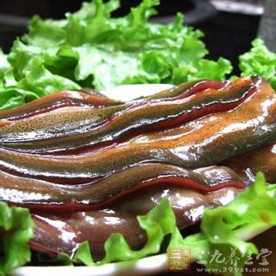 童子鱔魚(yú)酒配方：鮮活童子鱔魚(yú)500克