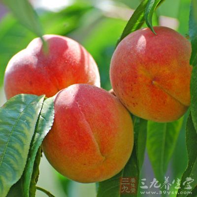 桃子的热量 桃子有哪些营养价值