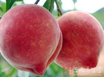 桃的营养价值 桃的功效与作用有哪些