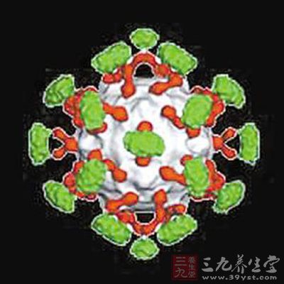 胃肠型感冒 如何区别治疗胃肠型感冒