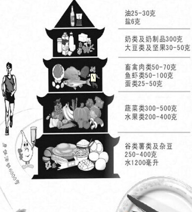 全民营养周主题天天好营养 一生享健康