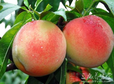 水蜜桃的营养价值 水蜜桃的功效和作用