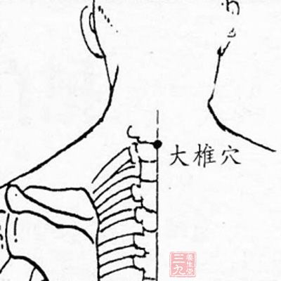 能退烧穴位大椎穴