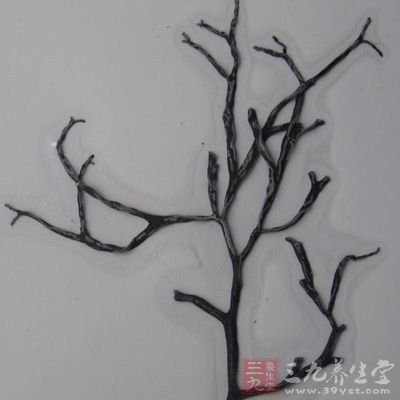 软坚散结;解毒;驱蛔。主颈淋巴结肿;甲状腺肿;