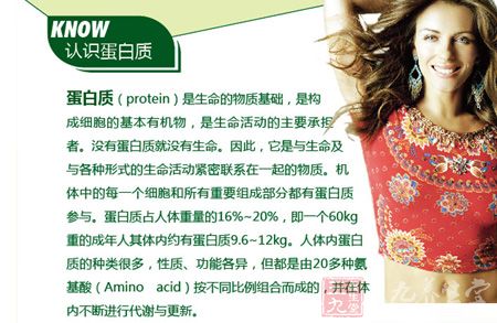 金日牌果维蛋白质粉认识蛋白质 金日牌果维蛋白质粉认识蛋白质