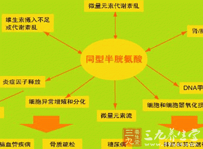 同型半胱氨酸及其代谢关键酶mtrr基因多态性与颅内动脉瘤的关系