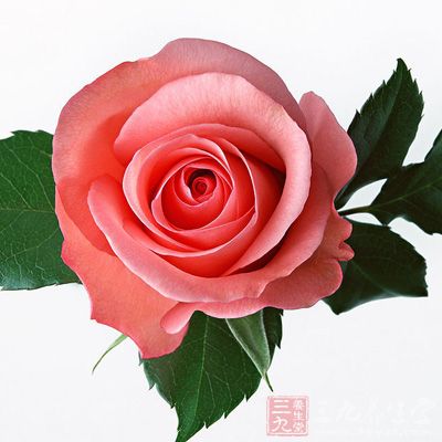 多闻新鲜的花香，能有心情舒展的效果