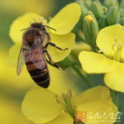 蜂蜜中含有葡萄糖、维生素、镁、磷、等多种营养物质