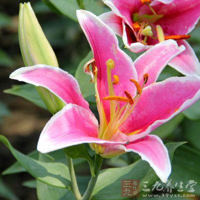 脸上长黄褐斑怎么调理 这些方法还你洁白肌肤