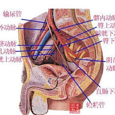 盆腔炎引起的腰痛，病根在于盆腔炎，想要缓解腰疼症状，应该首先治疗盆腔炎