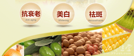 抗衰老美白祛斑 抗衰老美白祛斑