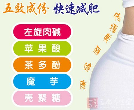 五效成分快速减肥 五效成分快速减肥
