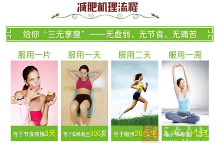减肥机理流程 减肥机理流程