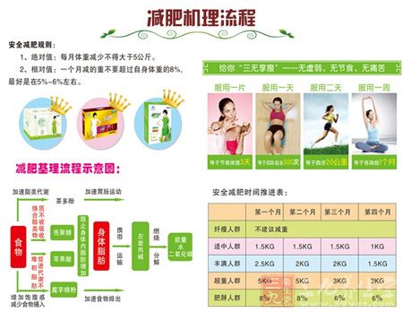 减肥机理流程 减肥机理流程