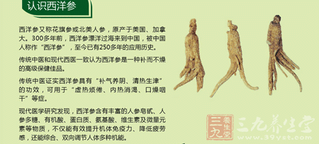 西洋参又称花旗参或北美人参 西洋参又称花旗参或北美人参