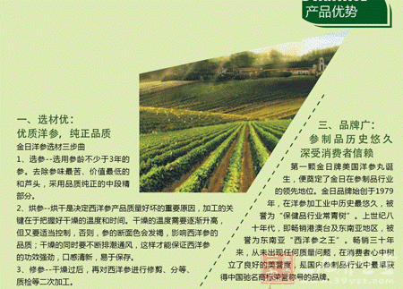 金日牌美国洋参袋泡茶产品优势 金日牌美国洋参袋泡茶产品优势