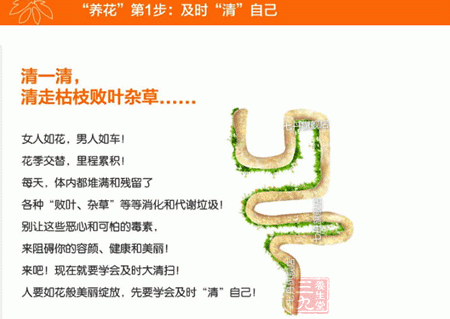 养花第一步:及时“清”自己 养花第一步:及时“清”自己