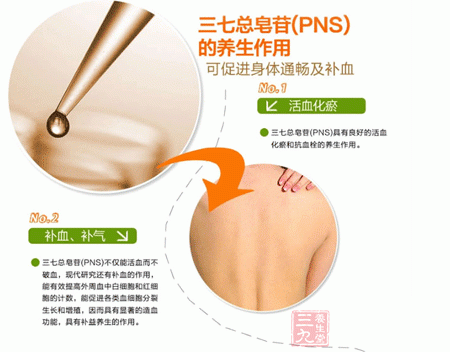 三七总皂苷的养生作用 三七总皂苷的养生作用